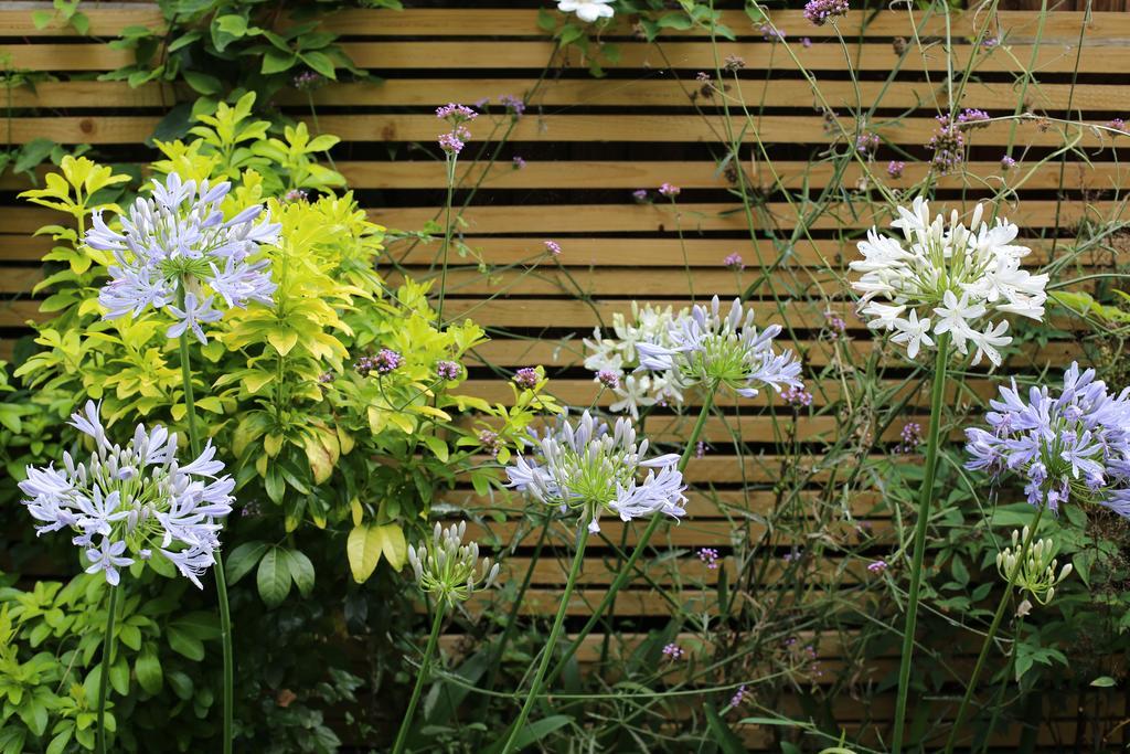 Shoreditch 1 With Garden Londra Camera foto
